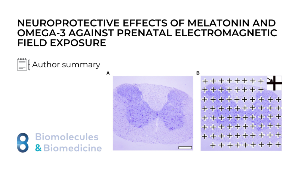 Neuroprotective Effects of Melatonin and Omega-3 Against Prenatal ...